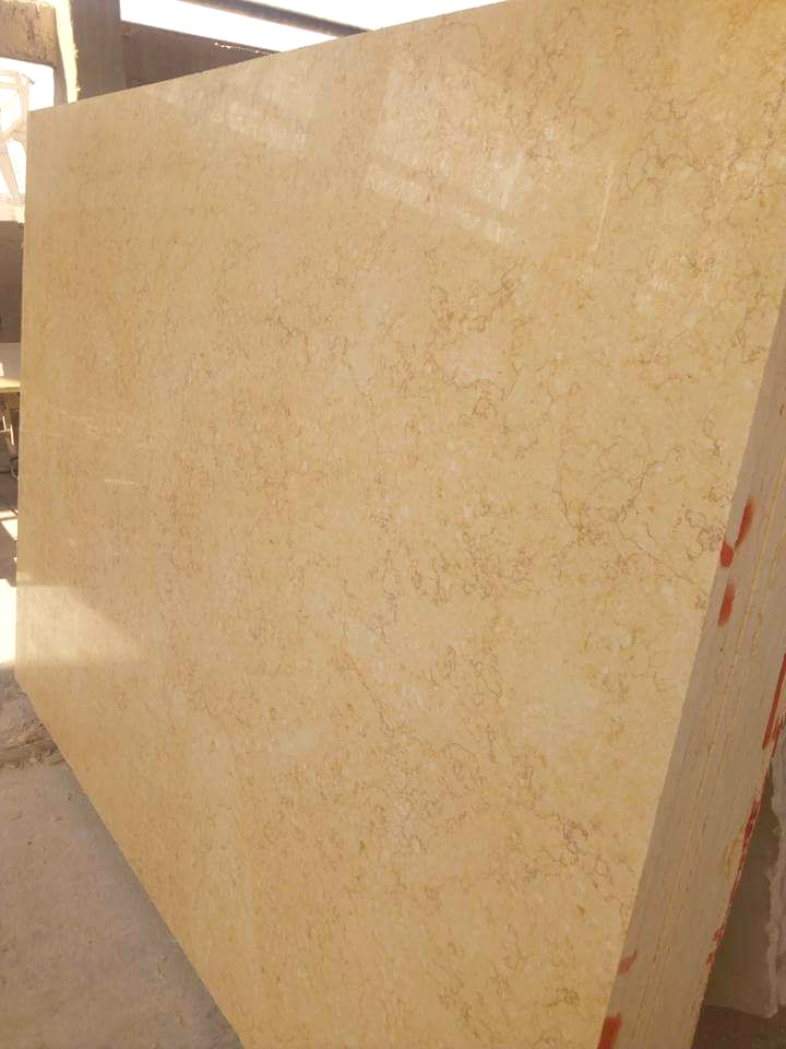 WhatsApp Image 2026-03-13 at 7.45.40 PM