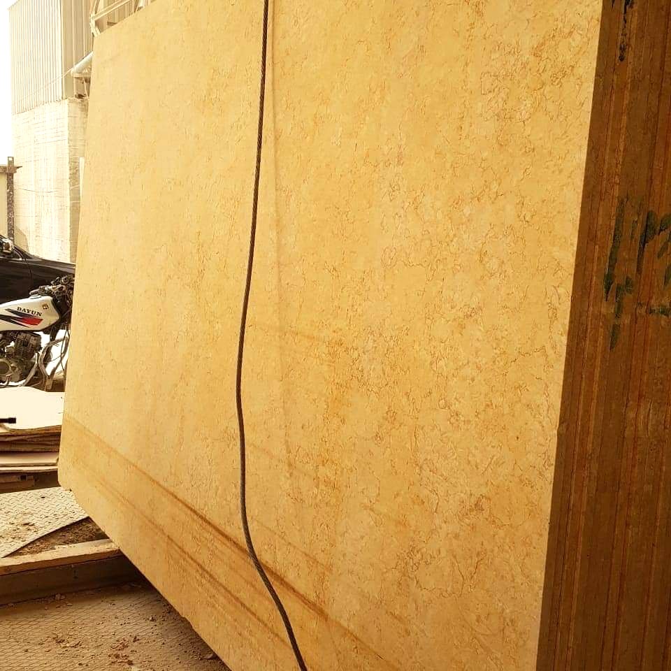 WhatsApp Image 2026-03-13 at 7.45.42 PM (1)