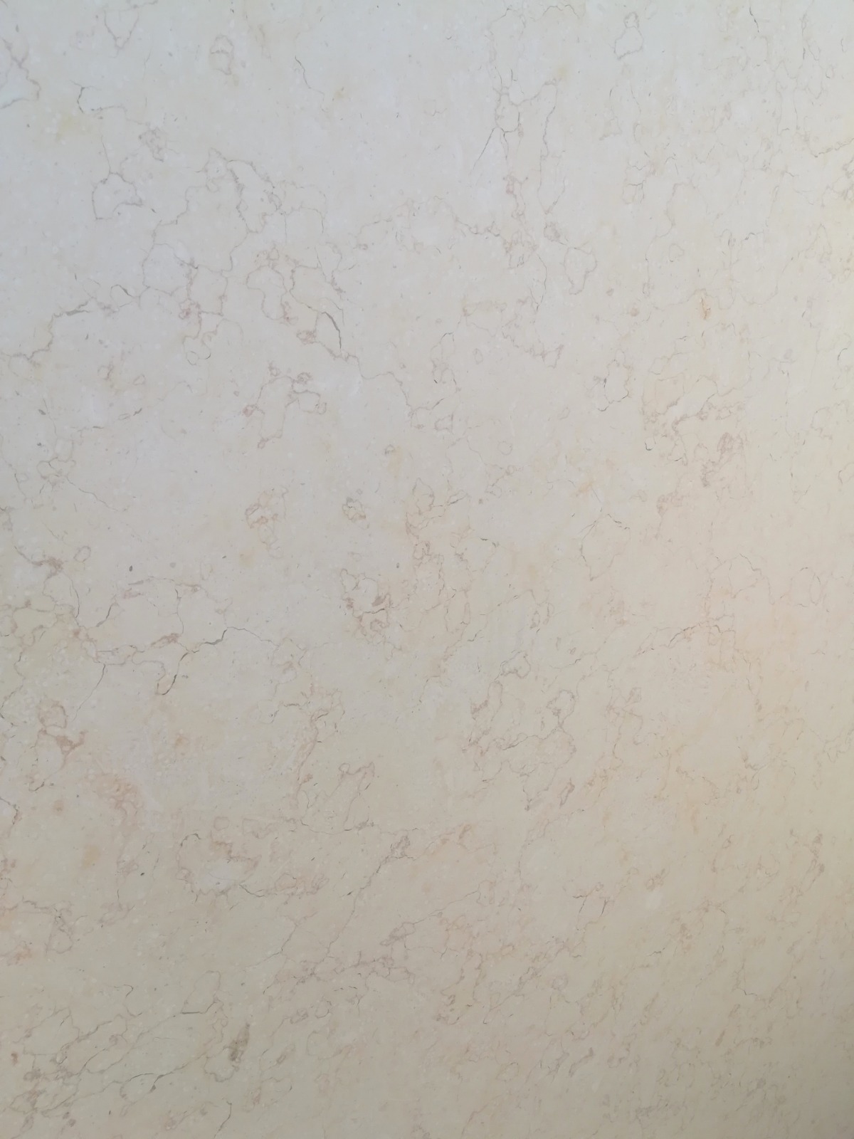 WhatsApp Image 2026-03-13 at 7.45.43 PM (1)