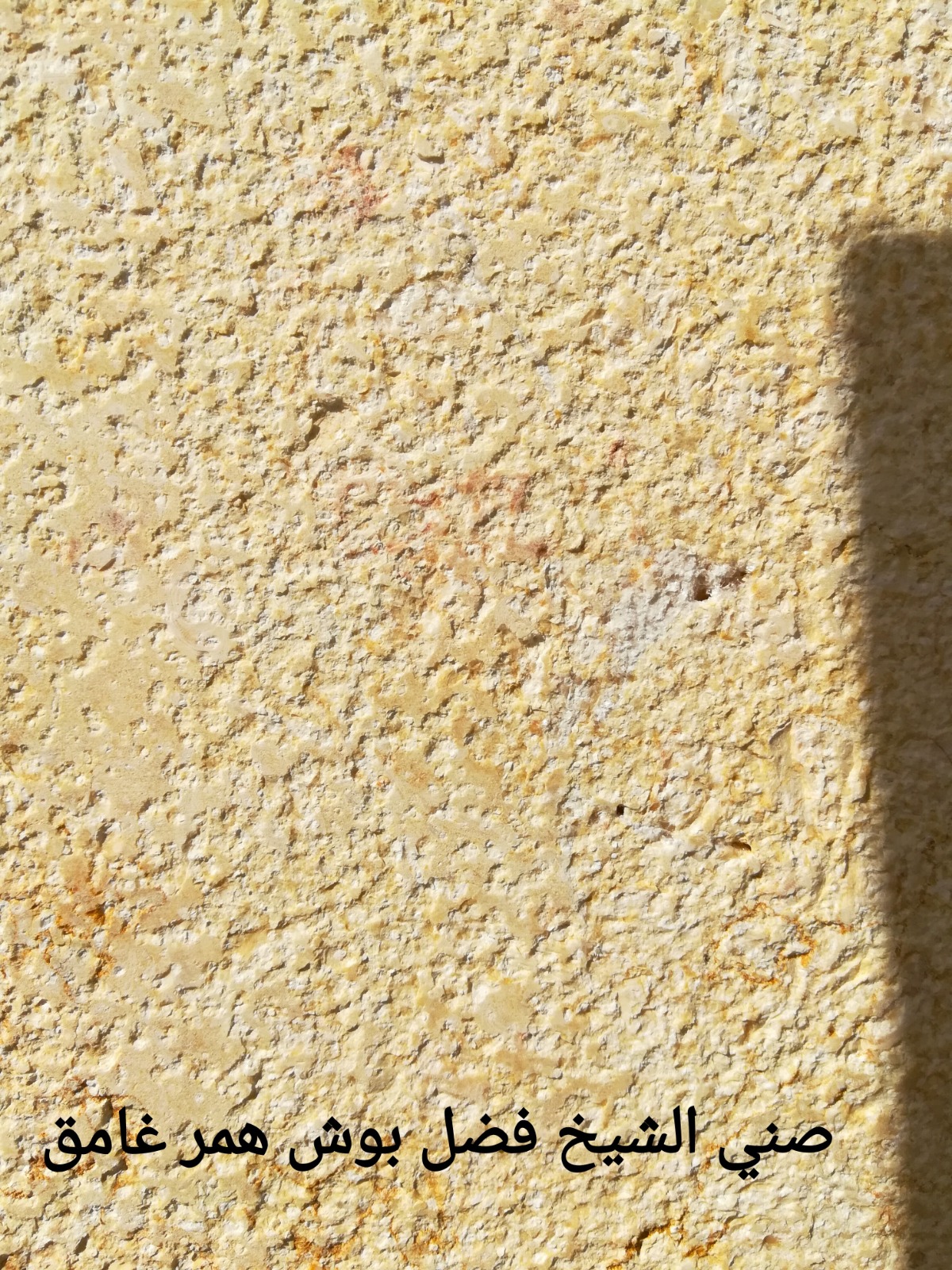 WhatsApp Image 2026-03-13 at 7.45.43 PM