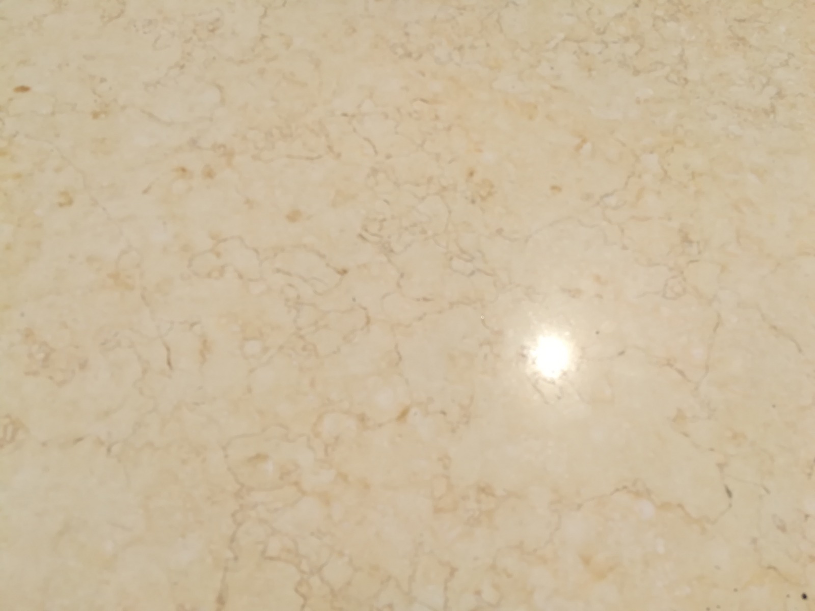 WhatsApp Image 2026-03-13 at 7.45.44 PM (2)