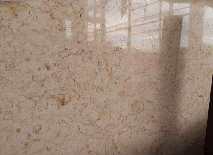 WhatsApp Image 2026-03-13 at 7.45.44 PM