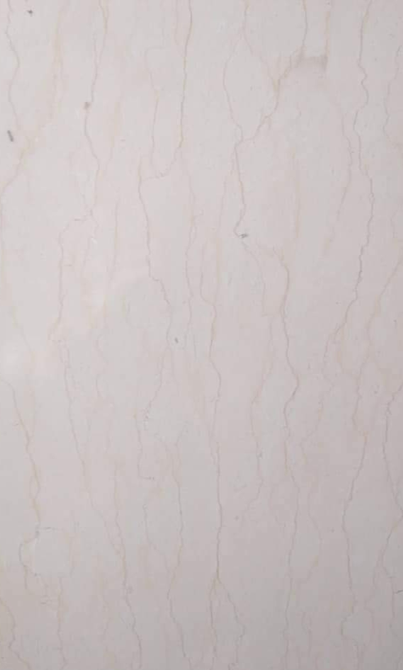 WhatsApp Image 2026-03-13 at 7.45.45 PM (1)