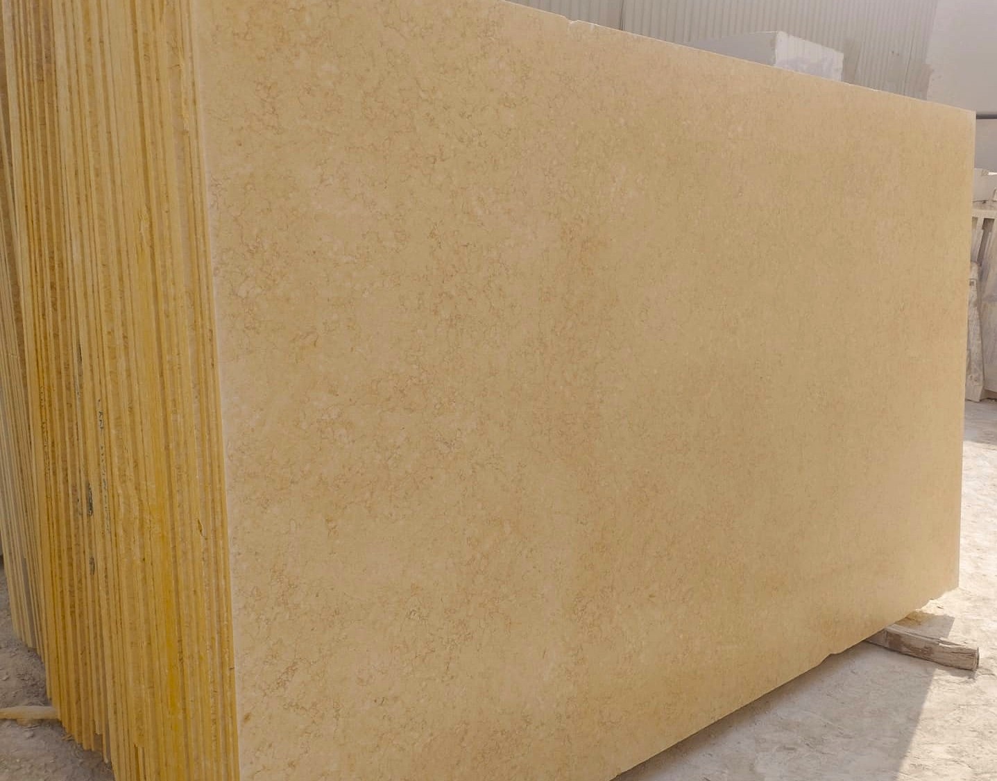 WhatsApp Image 2026-03-13 at 7.45.45 PM (2)