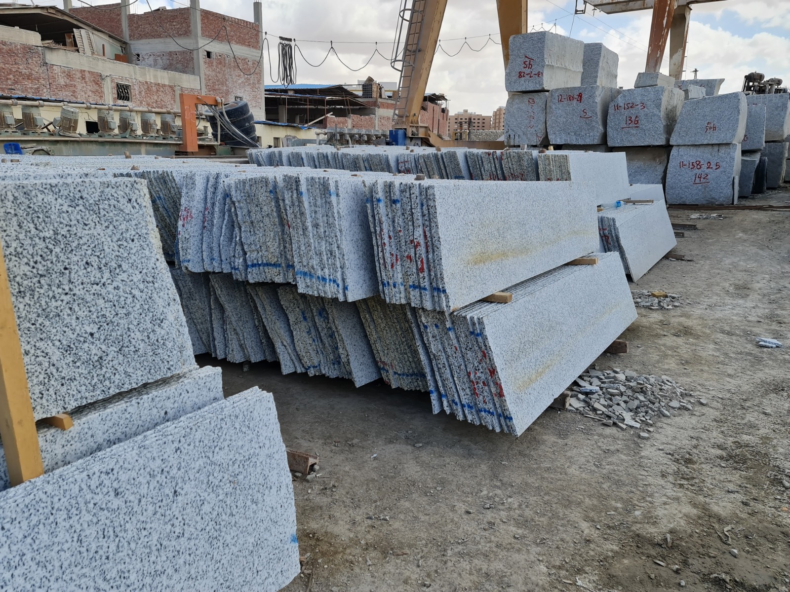 WhatsApp Image 2026-03-14 at 12.31.09 AM