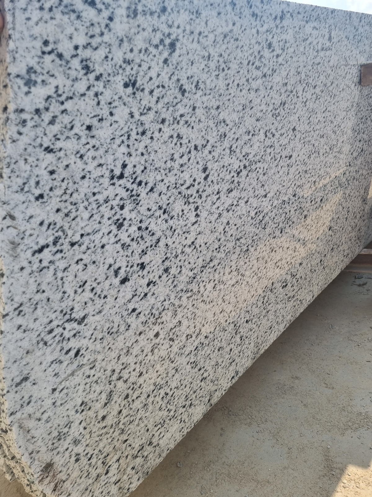 WhatsApp Image 2026-03-14 at 12.31.11 AM