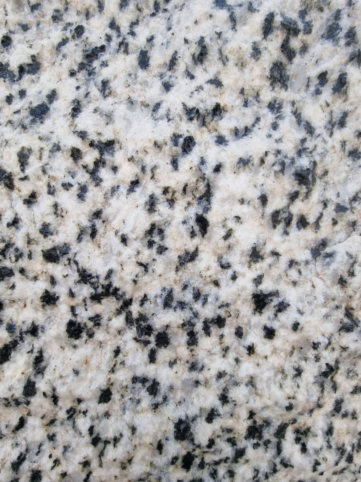 WhatsApp Image 2026-03-14 at 12.31.16 AM