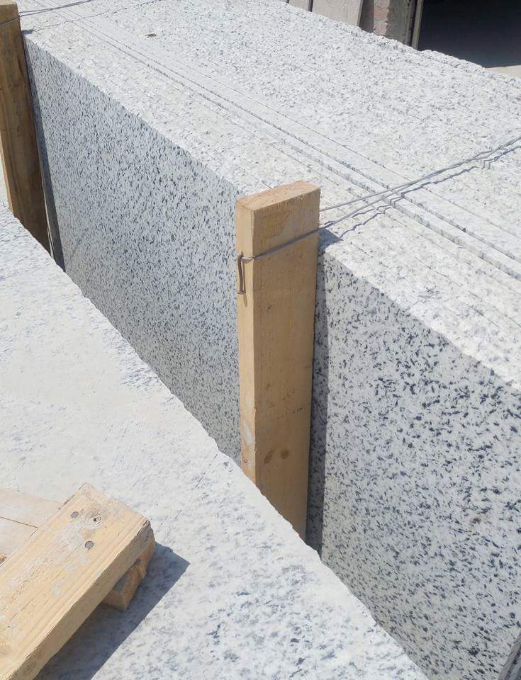 WhatsApp Image 2026-03-14 at 12.31.18 AM