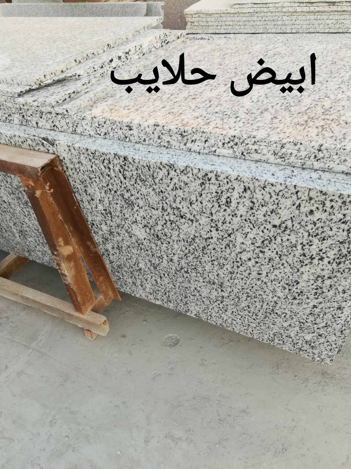 WhatsApp Image 2026-03-14 at 12.31.19 AM