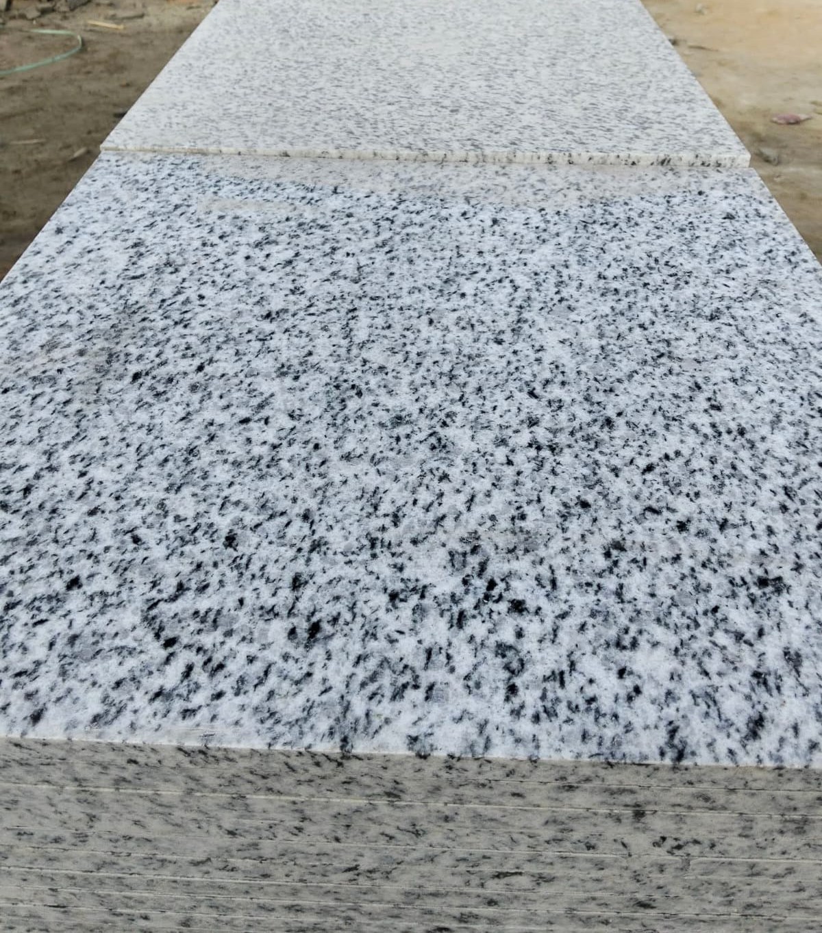 WhatsApp Image 2026-03-14 at 12.31.21 AM