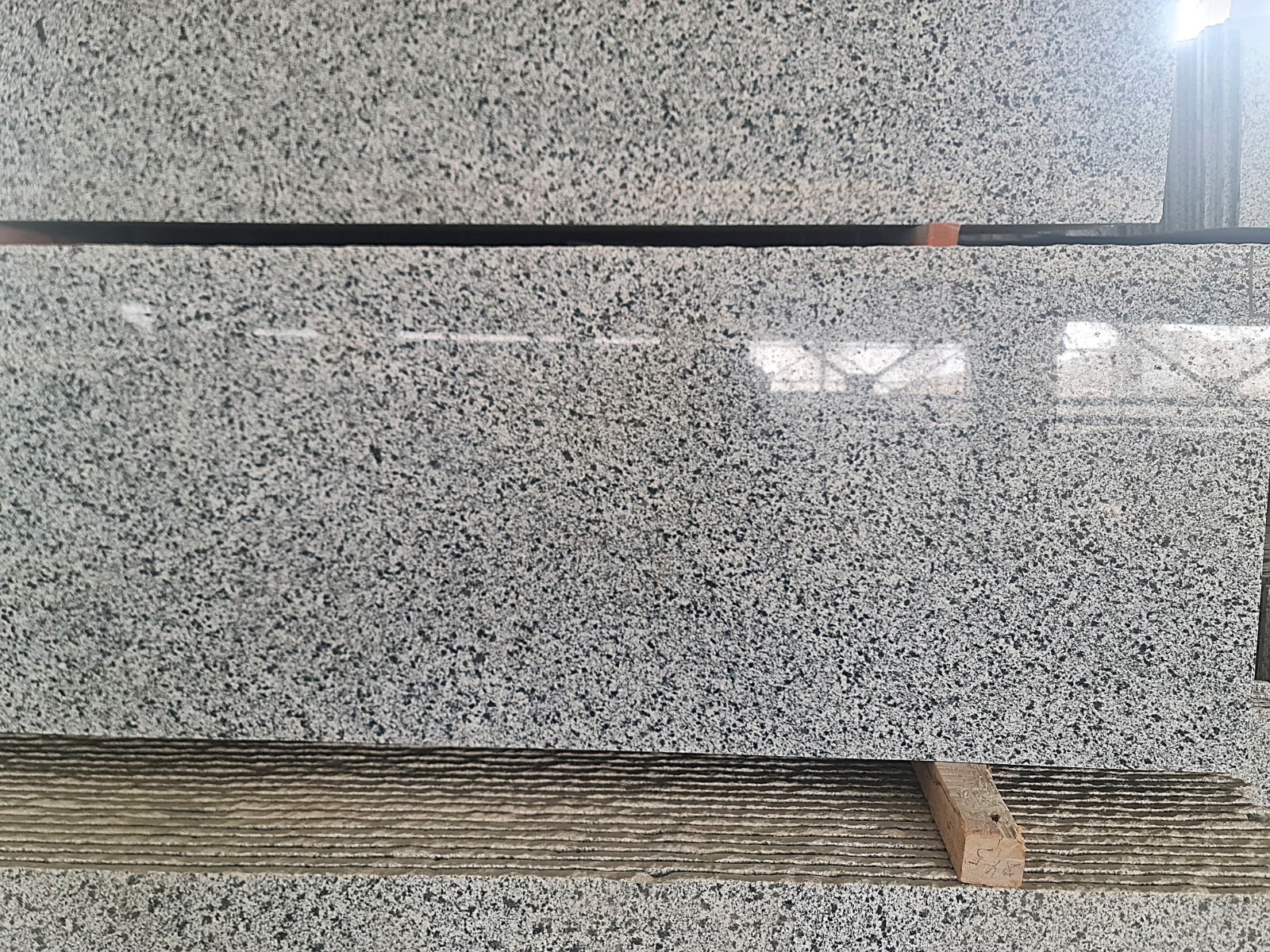 WhatsApp Image 2026-03-14 at 12.31.58 AM