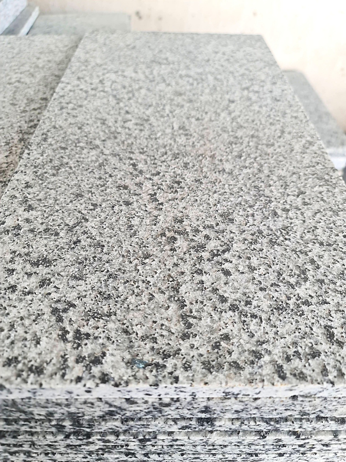 WhatsApp Image 2026-03-14 at 12.31.59 AM