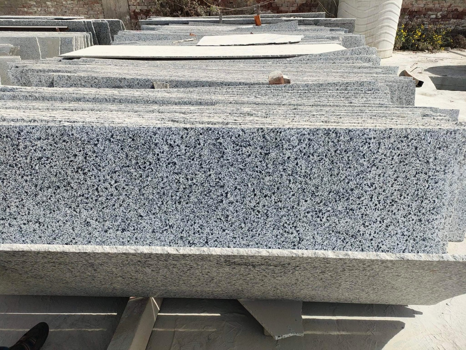 WhatsApp Image 2026-03-14 at 12.32.00 AM