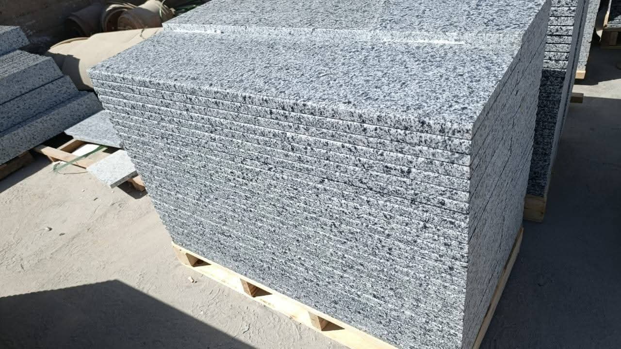 WhatsApp Image 2026-03-14 at 12.32.01 AM (1)