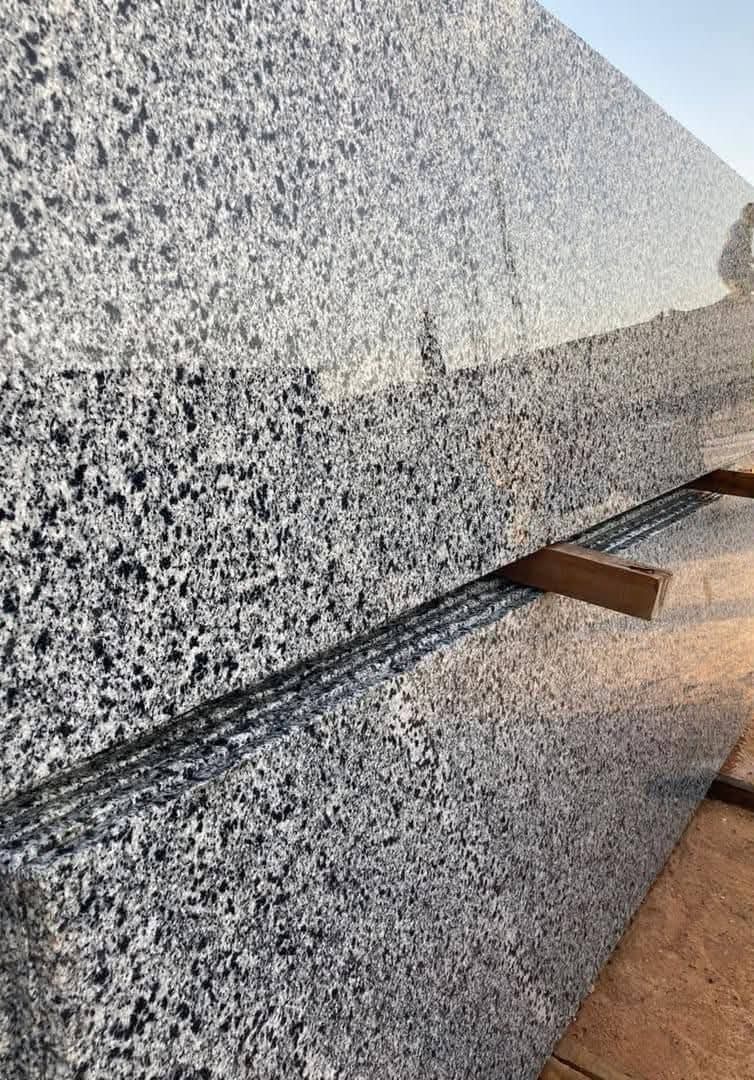 WhatsApp Image 2026-03-14 at 12.32.04 AM