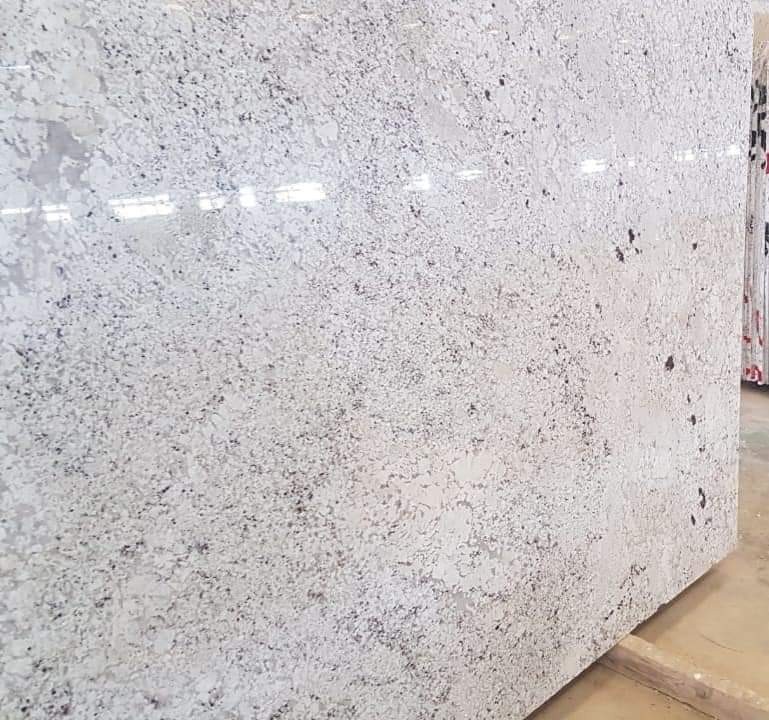 WhatsApp Image 2026-03-14 at 12.32.47 AM (1)