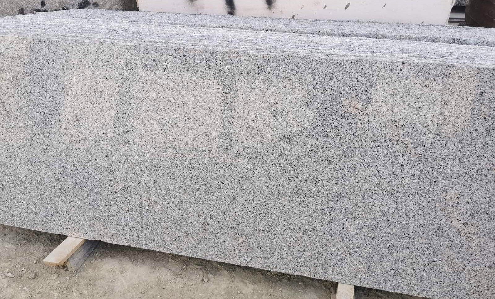 WhatsApp Image 2026-03-14 at 12.33.18 AM