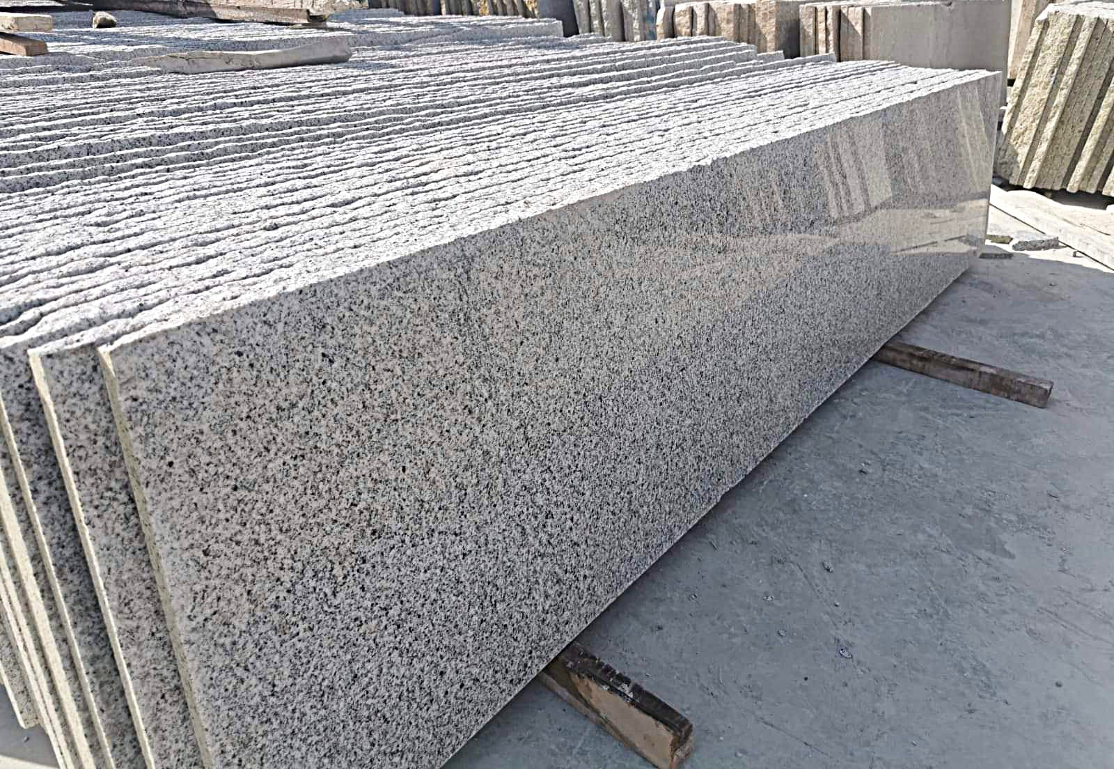 WhatsApp Image 2026-03-14 at 12.33.19 AM