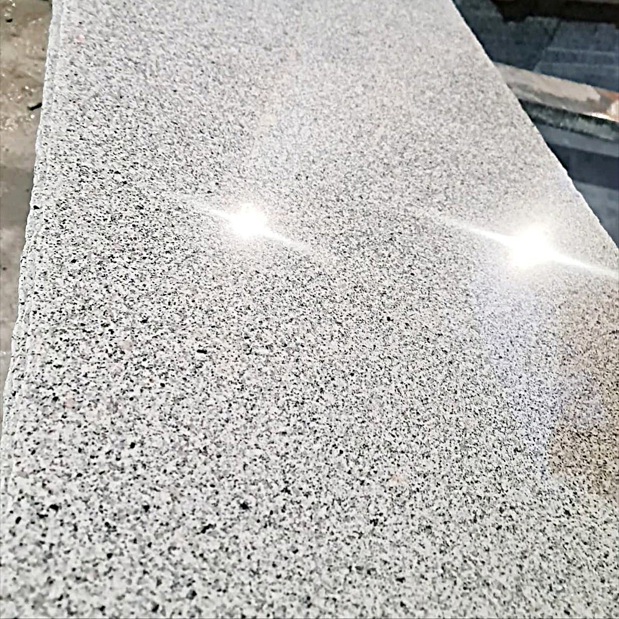 WhatsApp Image 2026-03-14 at 12.33.21 AM (2)