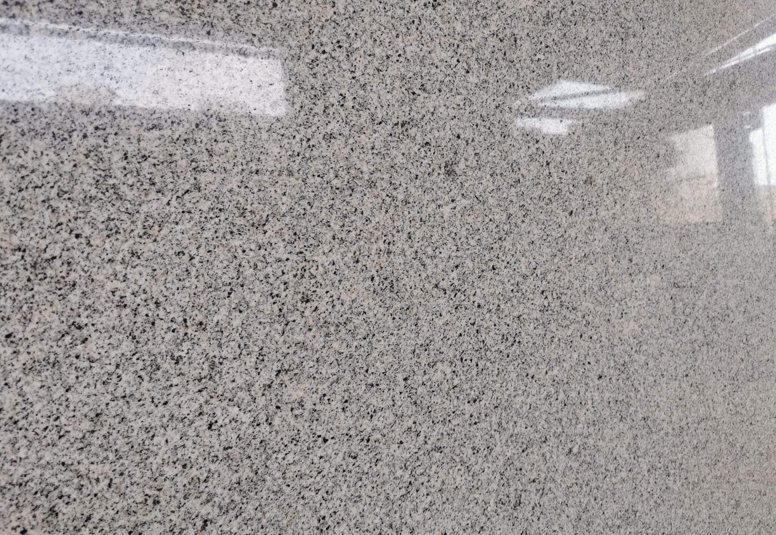 WhatsApp Image 2026-03-14 at 12.33.21 AM