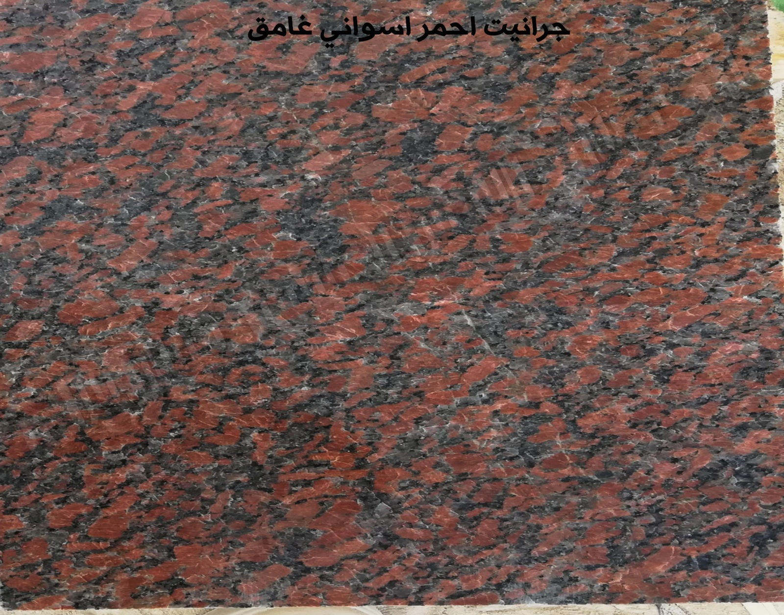 WhatsApp Image 2026-03-14 at 12.34.00 AM