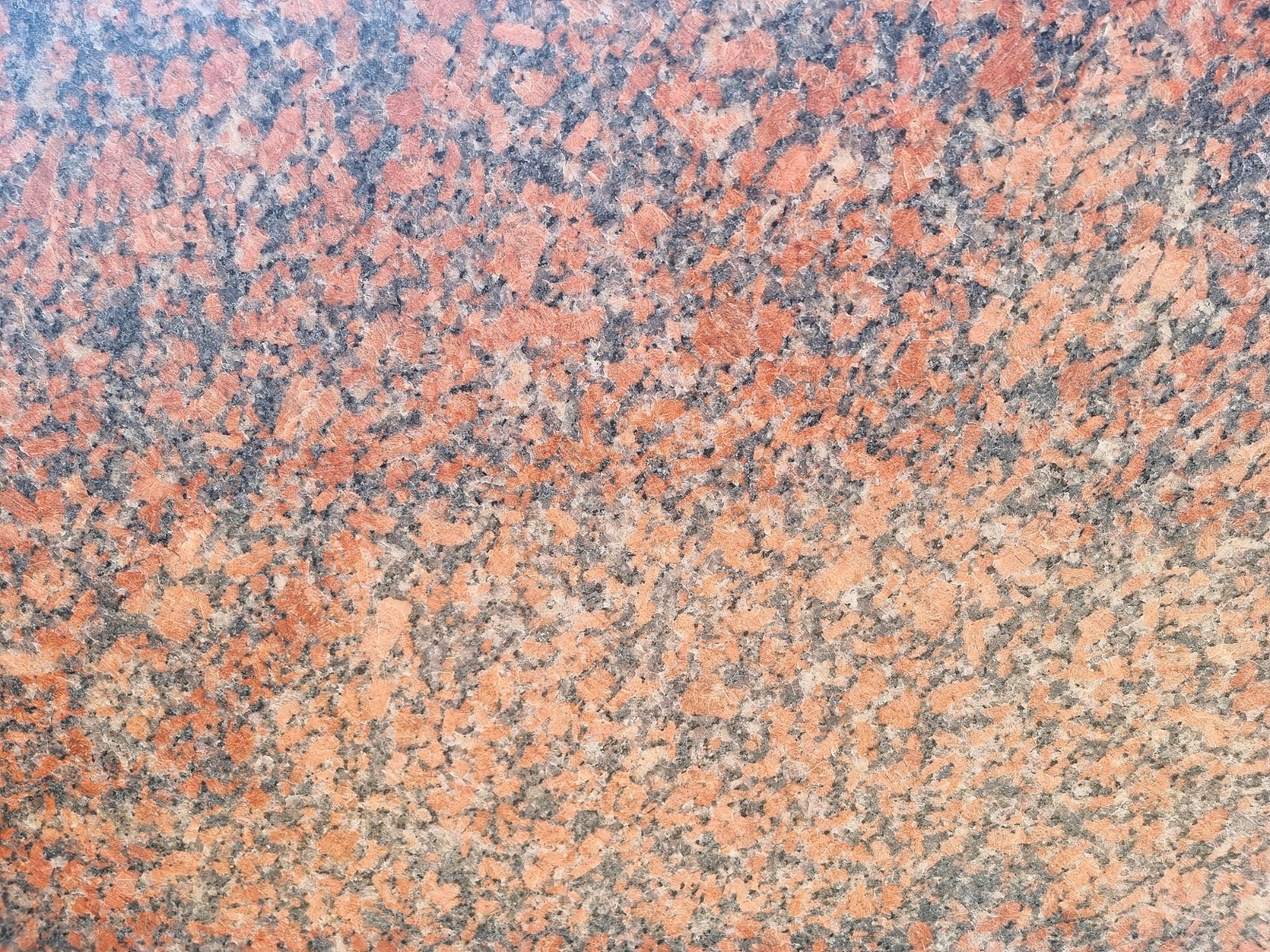 WhatsApp Image 2026-03-14 at 12.34.03 AM