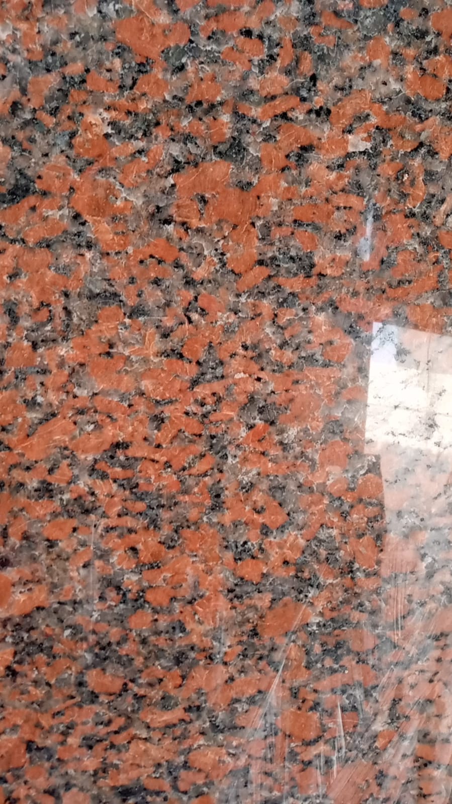 WhatsApp Image 2026-03-14 at 12.34.15 AM (1)