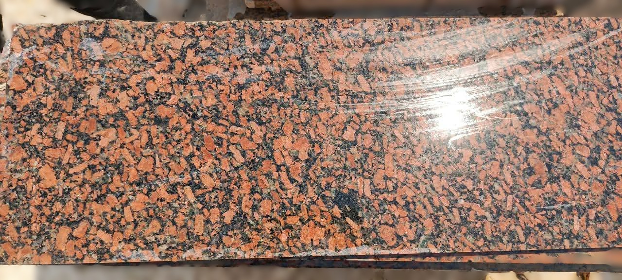 WhatsApp Image 2026-03-14 at 12.34.16 AM