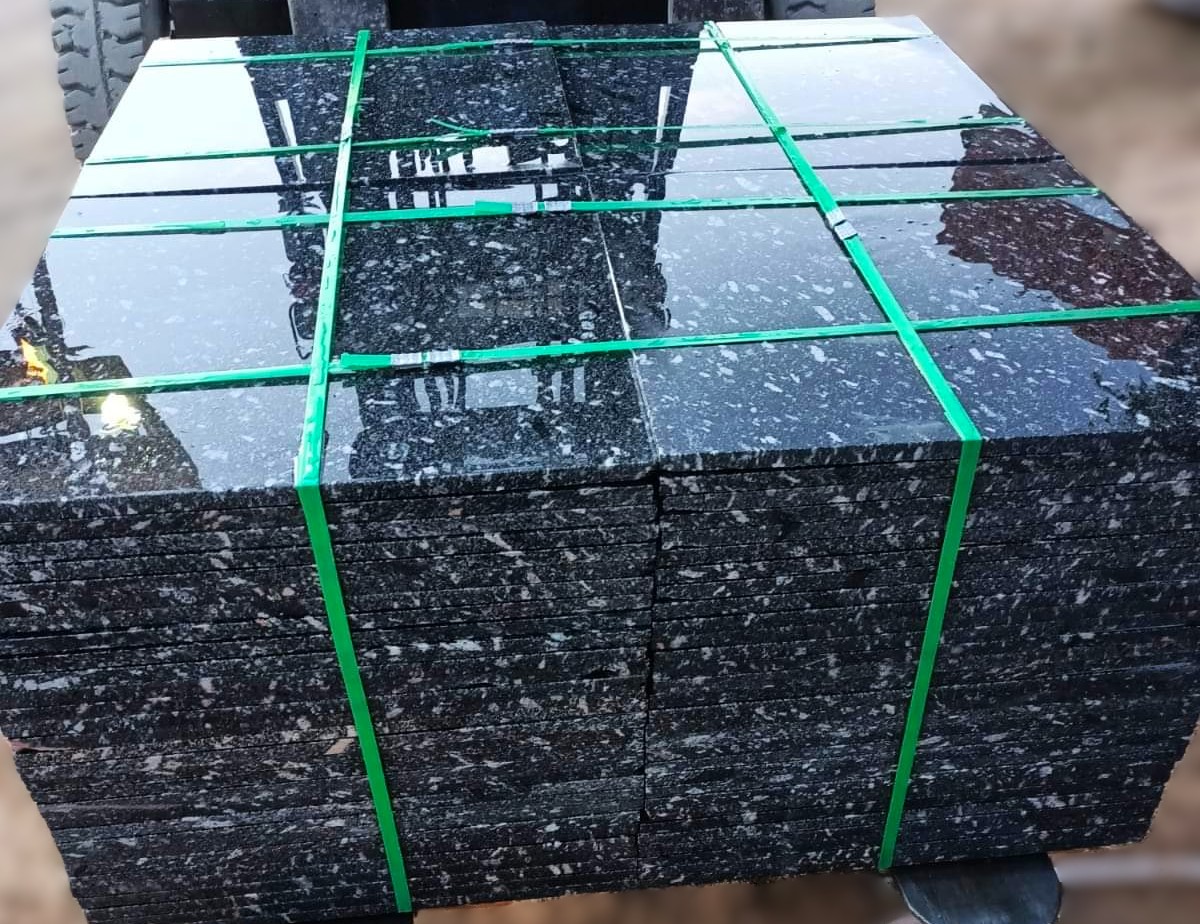 WhatsApp Image 2026-03-14 at 12.34.57 AM (1)