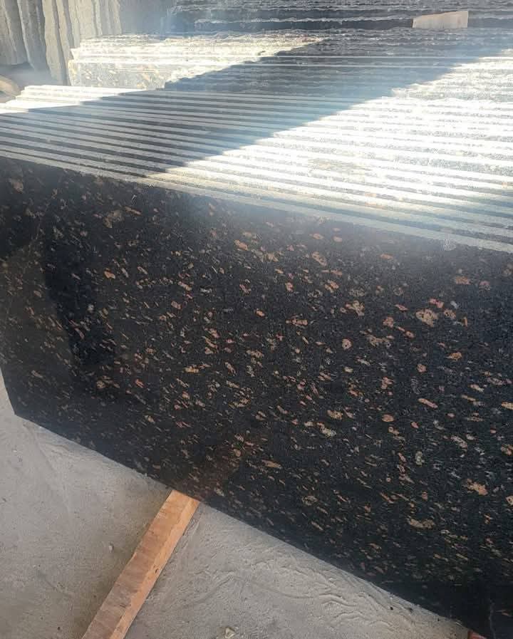 WhatsApp Image 2026-03-14 at 12.34.58 AM