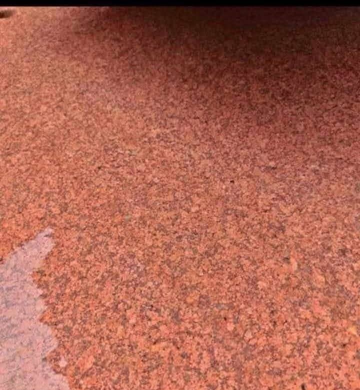 WhatsApp Image 2026-03-14 at 12.38.39 AM