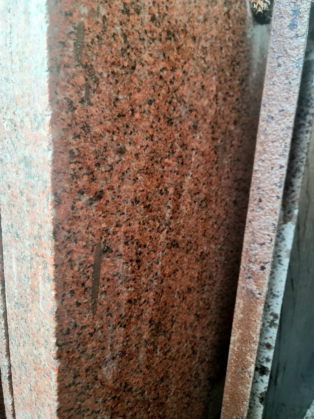 WhatsApp Image 2026-03-14 at 12.39.14 AM