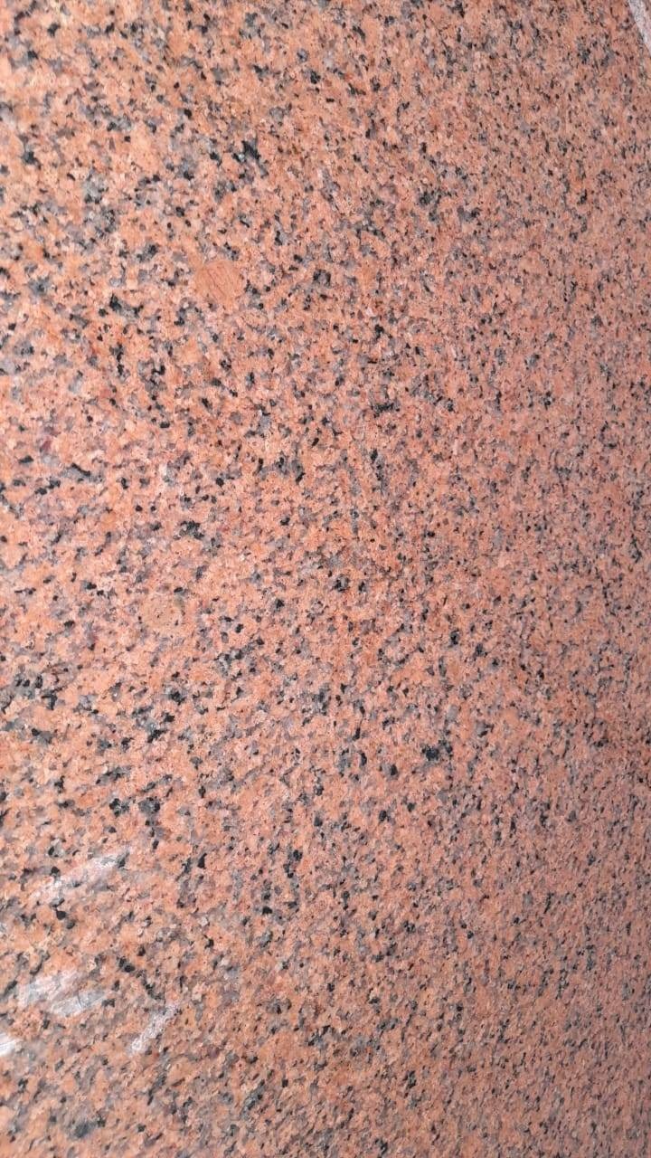 WhatsApp Image 2026-03-14 at 12.39.15 AM