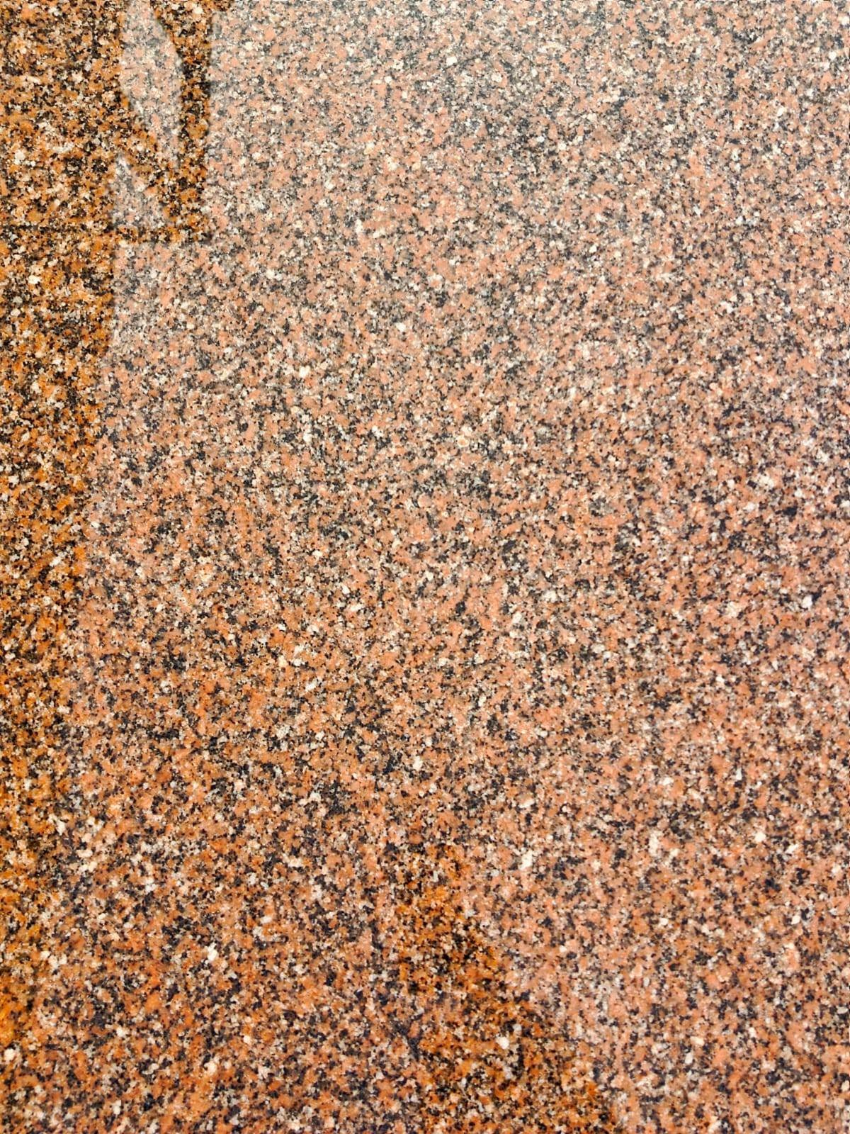 WhatsApp Image 2026-03-14 at 12.39.16 AM