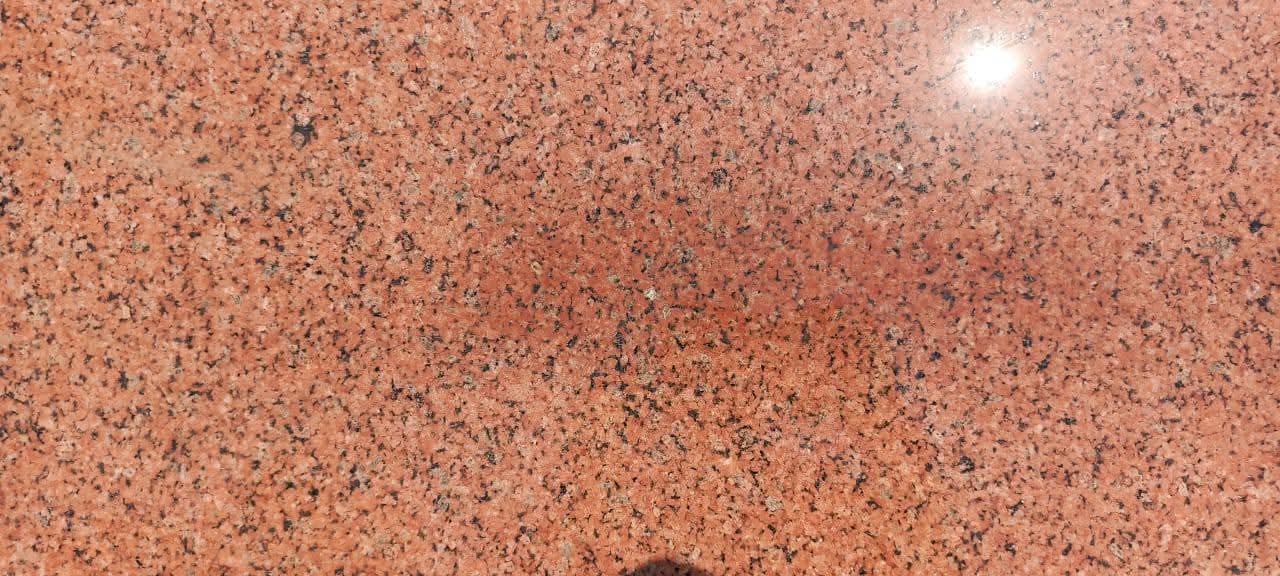 WhatsApp Image 2026-03-14 at 12.39.17 AM (1)