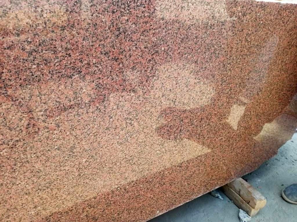 WhatsApp Image 2026-03-14 at 12.39.19 AM