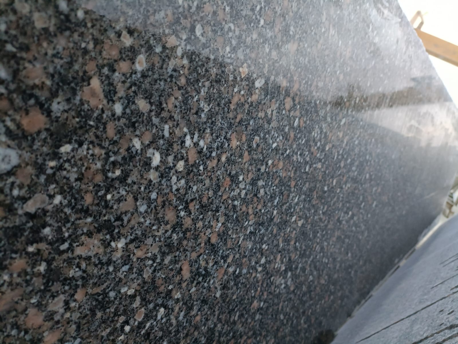 WhatsApp Image 2026-03-14 at 12.39.45 AM