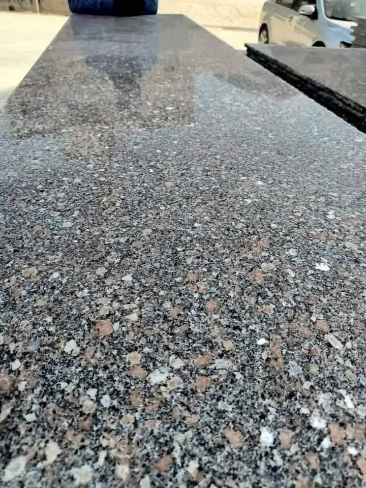 WhatsApp Image 2026-03-14 at 12.39.46 AM (1)