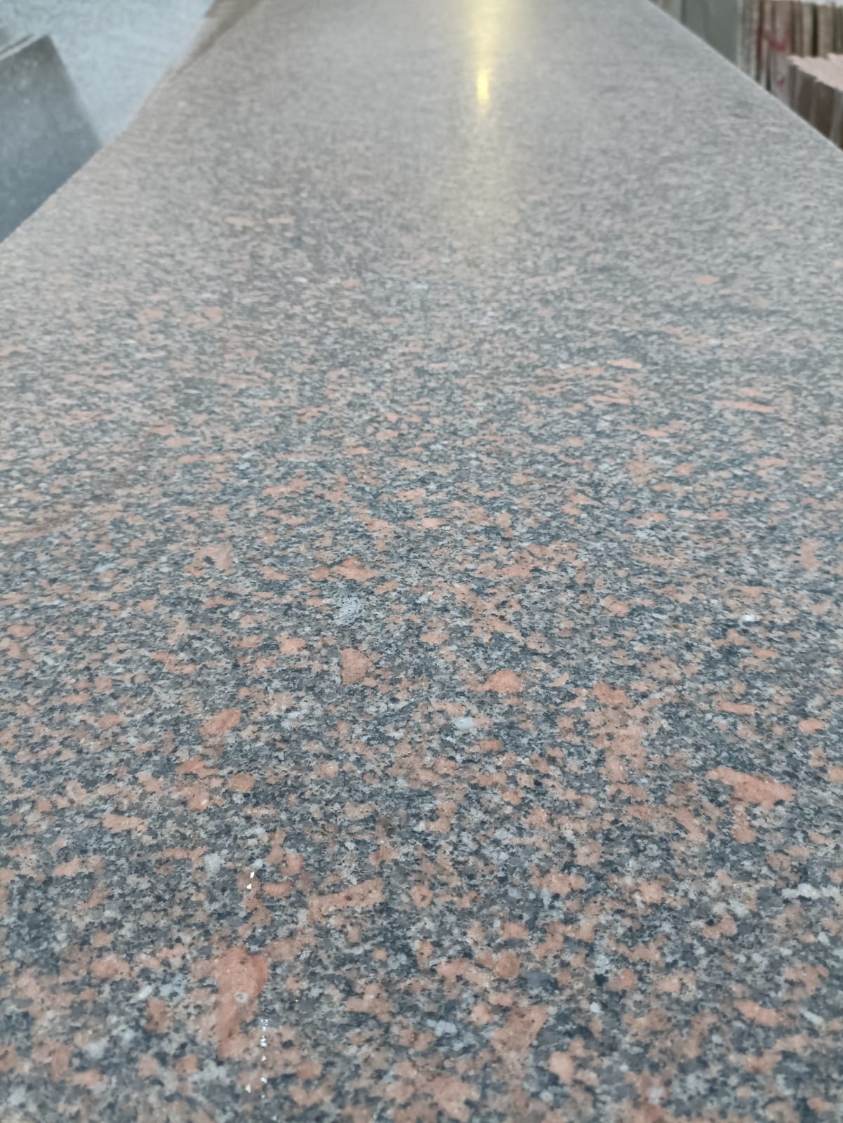 WhatsApp Image 2026-03-14 at 12.39.46 AM