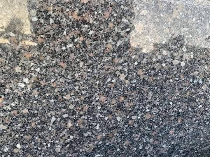 WhatsApp Image 2026-03-14 at 12.39.47 AM