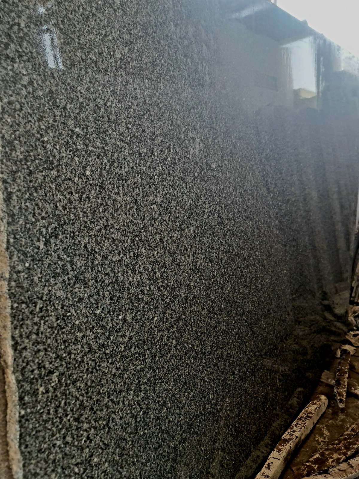 WhatsApp Image 2026-03-14 at 12.40.39 AM