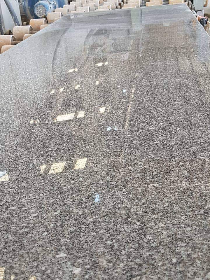 WhatsApp Image 2026-03-14 at 12.40.40 AM