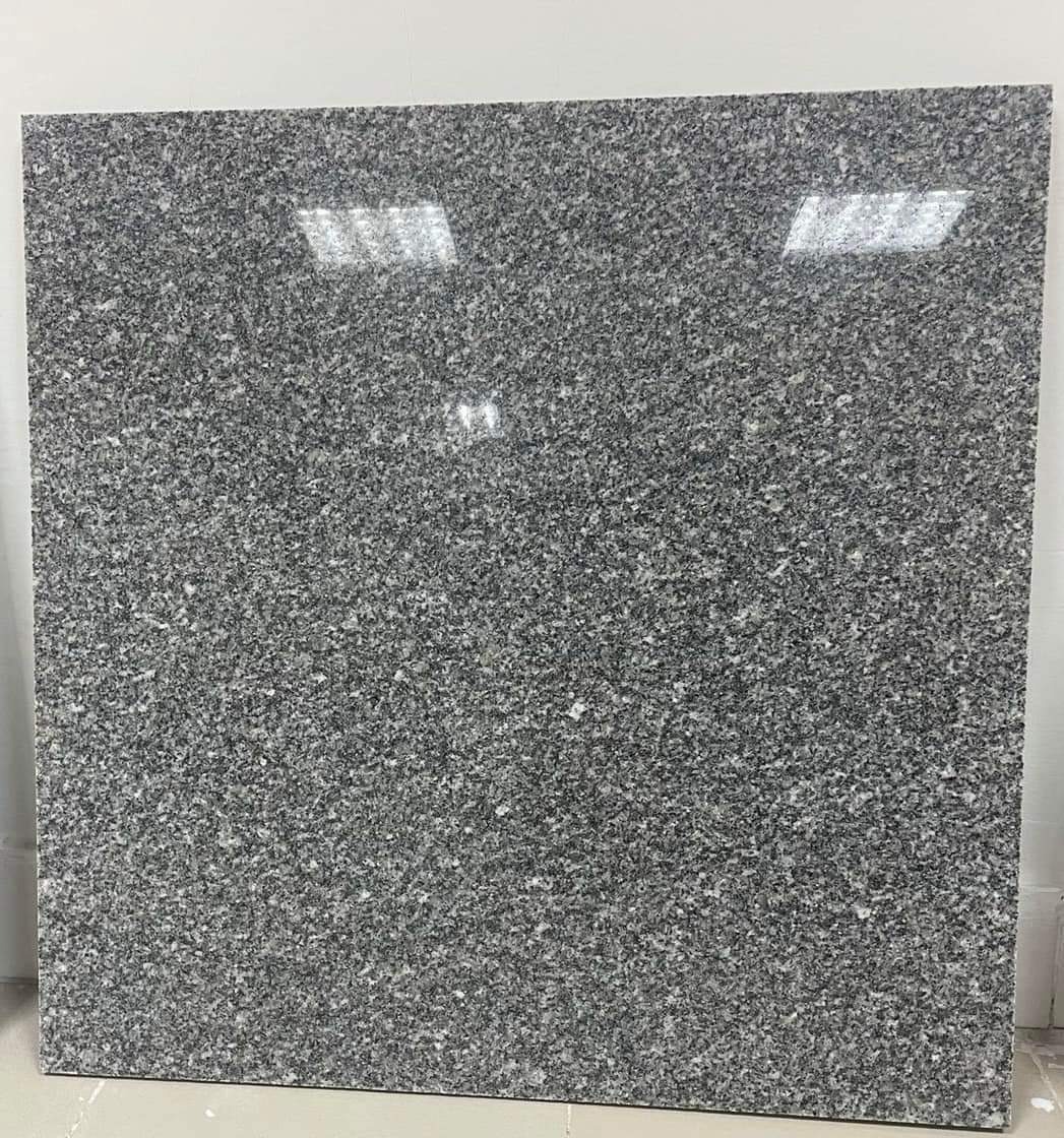 WhatsApp Image 2026-03-14 at 12.40.42 AM