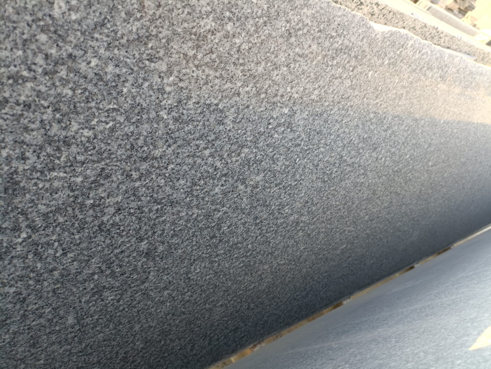 WhatsApp Image 2026-03-14 at 12.40.43 AM (1)