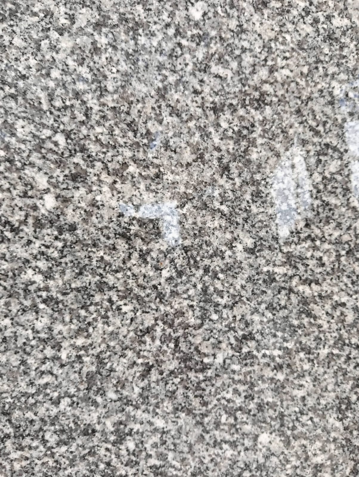 WhatsApp Image 2026-03-14 at 12.40.44 AM (1)