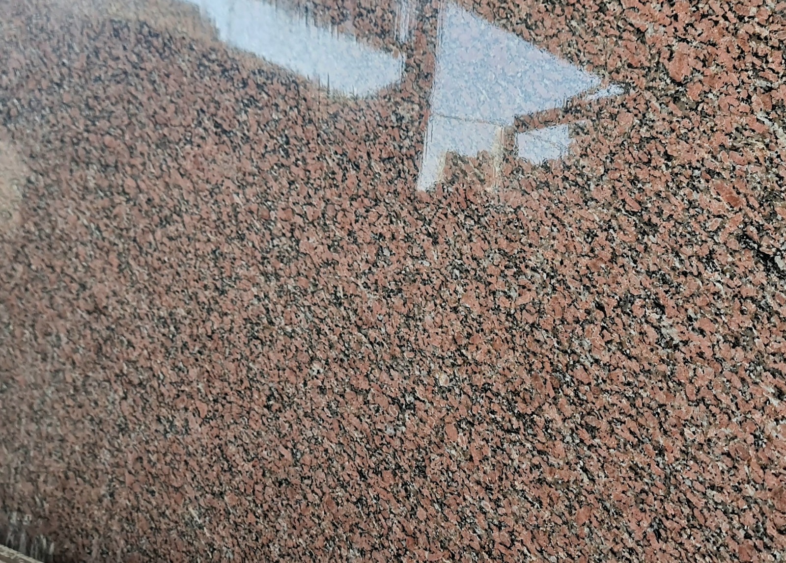 WhatsApp Image 2026-03-14 at 12.41.06 AM