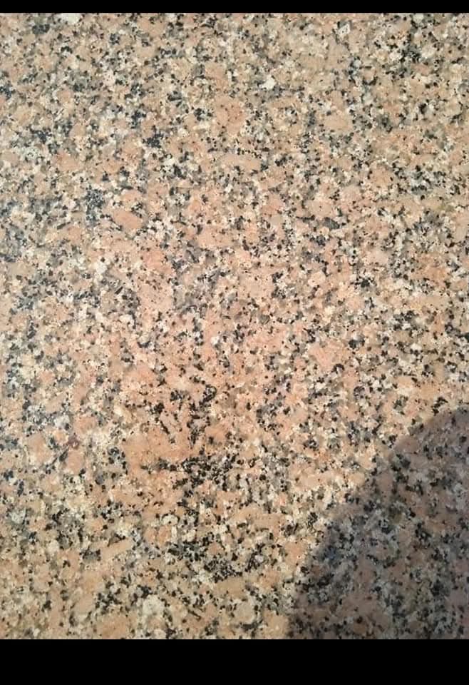 WhatsApp Image 2026-03-14 at 12.41.10 AM