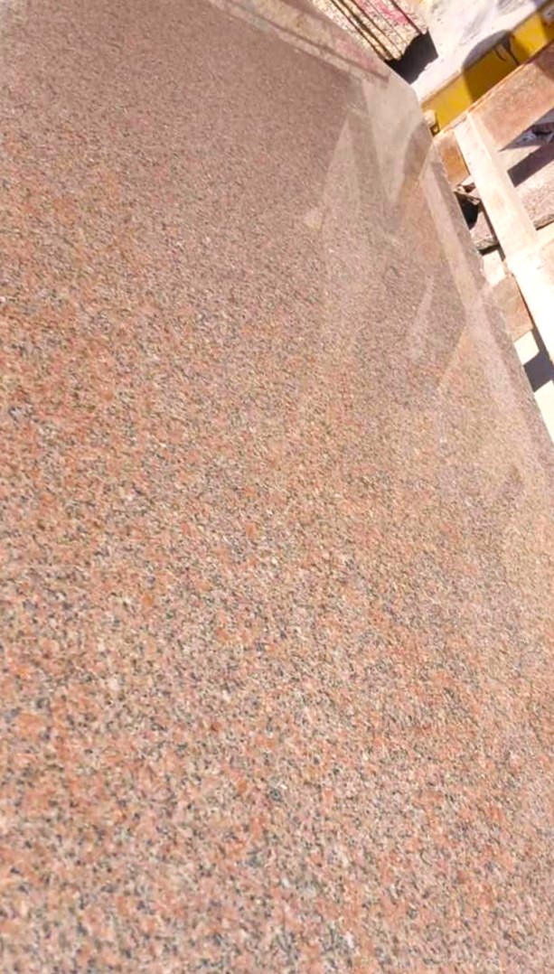 WhatsApp Image 2026-03-14 at 12.41.13 AM (1)