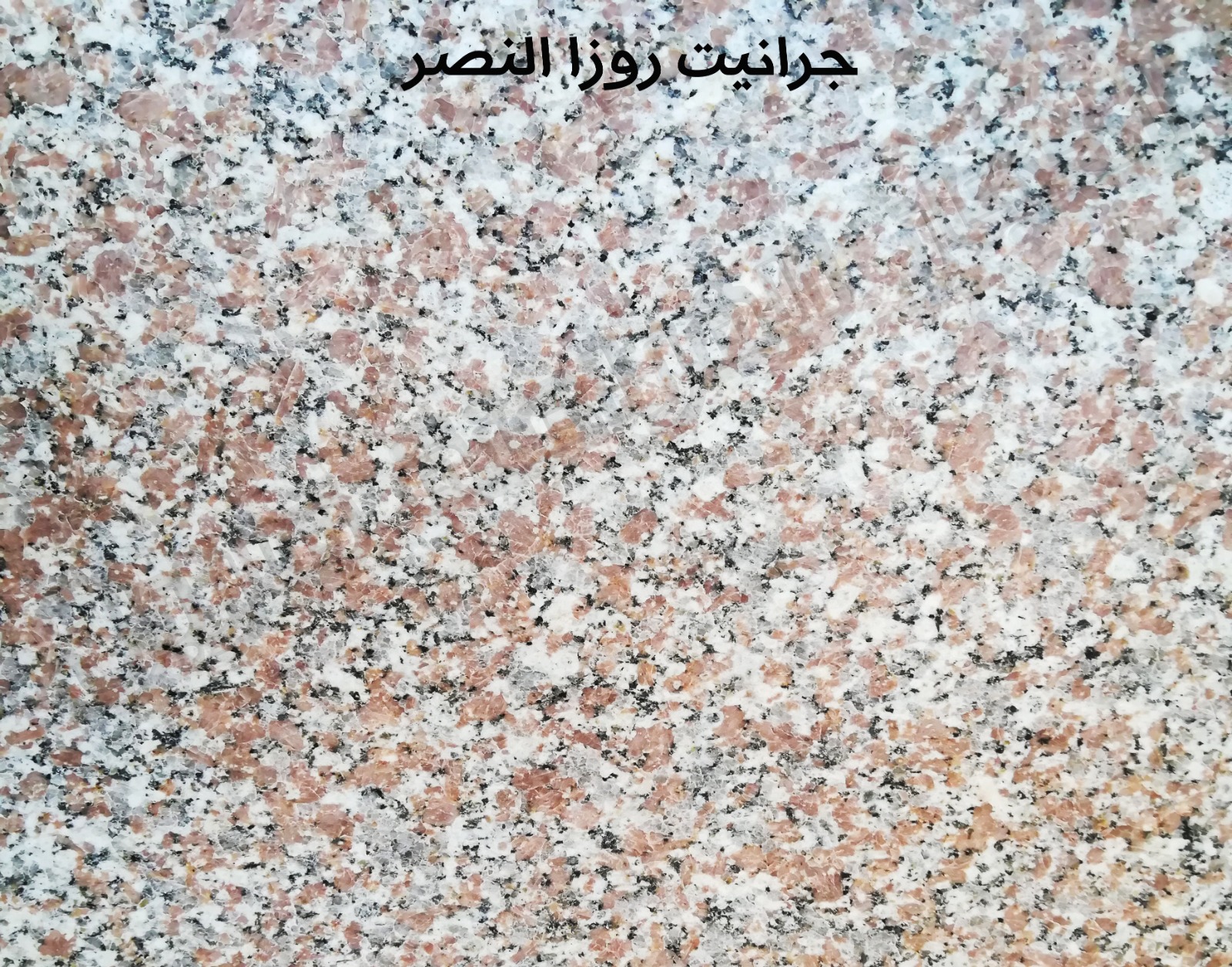 WhatsApp Image 2026-03-14 at 12.41.43 AM