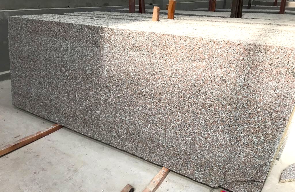 WhatsApp Image 2026-03-14 at 12.41.45 AM (1)